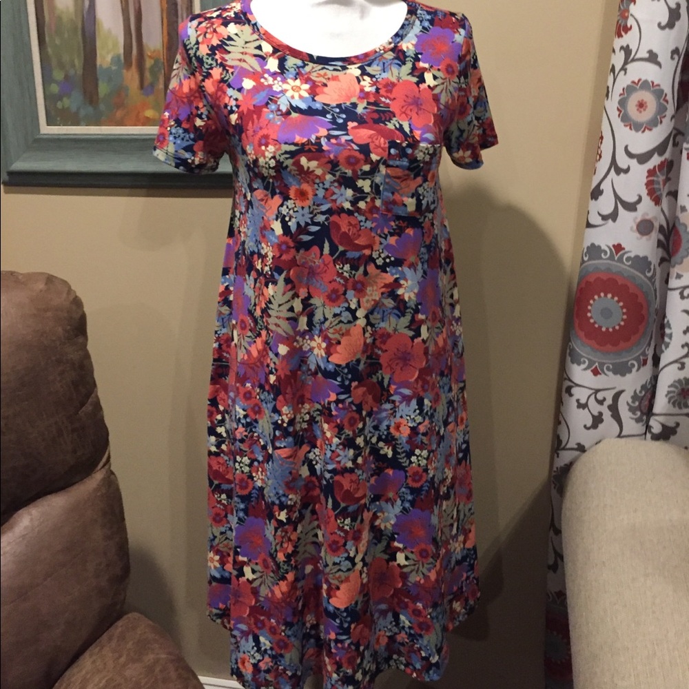 Xxs LulaRoe Carly